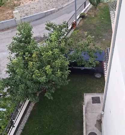Dia Split
